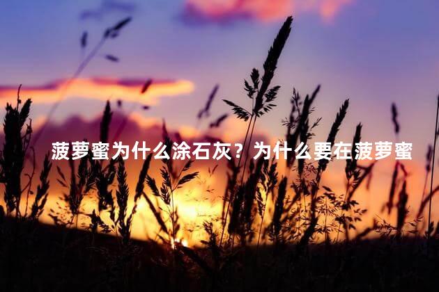 菠萝蜜为什么涂石灰？为什么要在菠萝蜜上涂抹石灰？