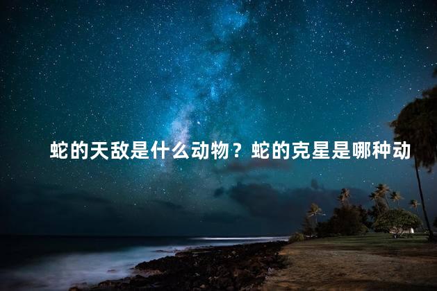 蛇的天敌是什么动物？蛇的克星是哪种动物